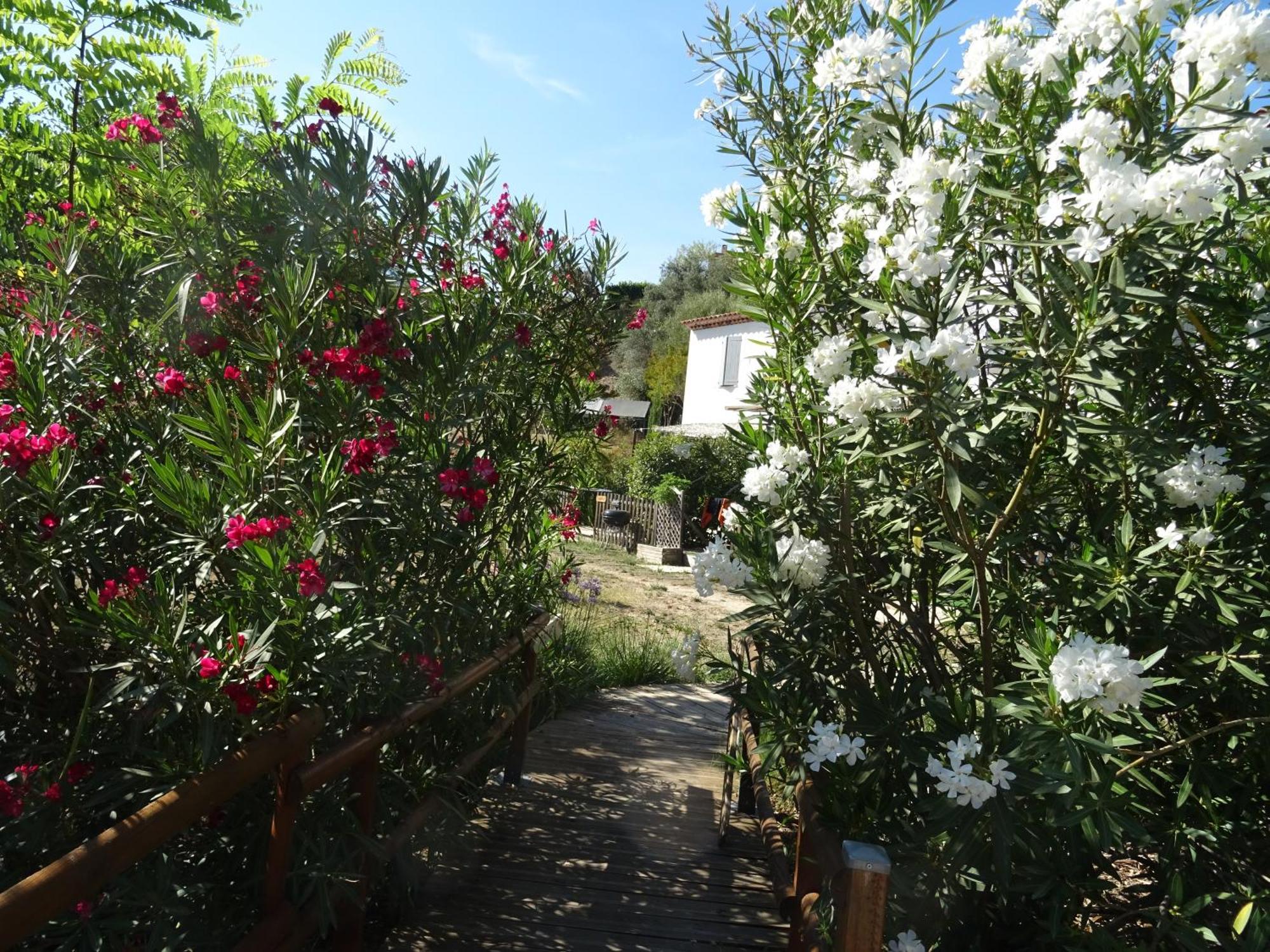 Willa Les Ecrins D'Aix-En-Provence Zewnętrze zdjęcie